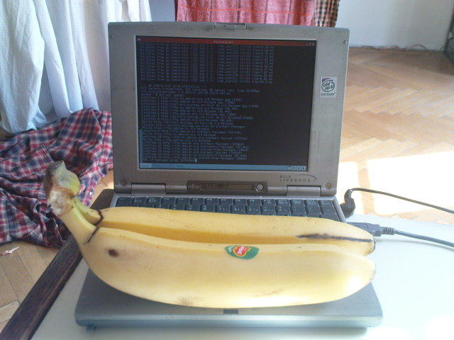 Scaled image sexy_laptops_with_fruits1.jpg 