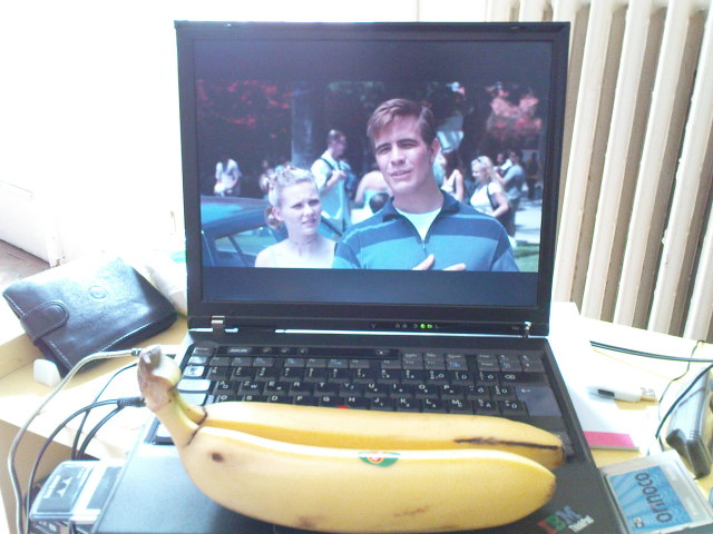 Scaled image sexy_laptops_with_fruits2.jpg 
