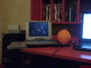 Thumbnail sexy_laptops_with_fruits5.jpg 