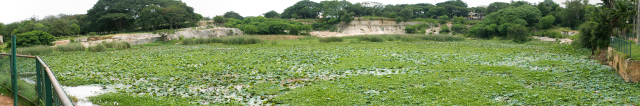 Scaled image panorama/lotuspanorama1.jpg 