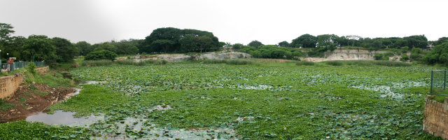 Scaled image panorama/lotuspanorama2.jpg 