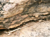 Thumbnail szikla/PICT8988.JPG 