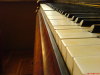 Thumbnail zongora3.jpg 
